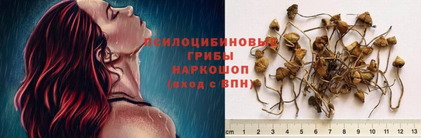 дмт Алзамай